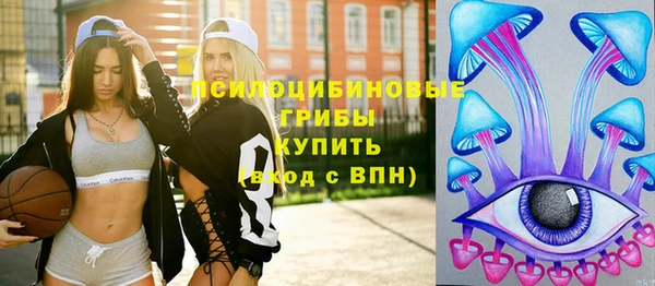 ешки Волосово