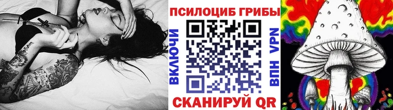 наркотики  Лысково  Галлюциногенные грибы Cubensis 
